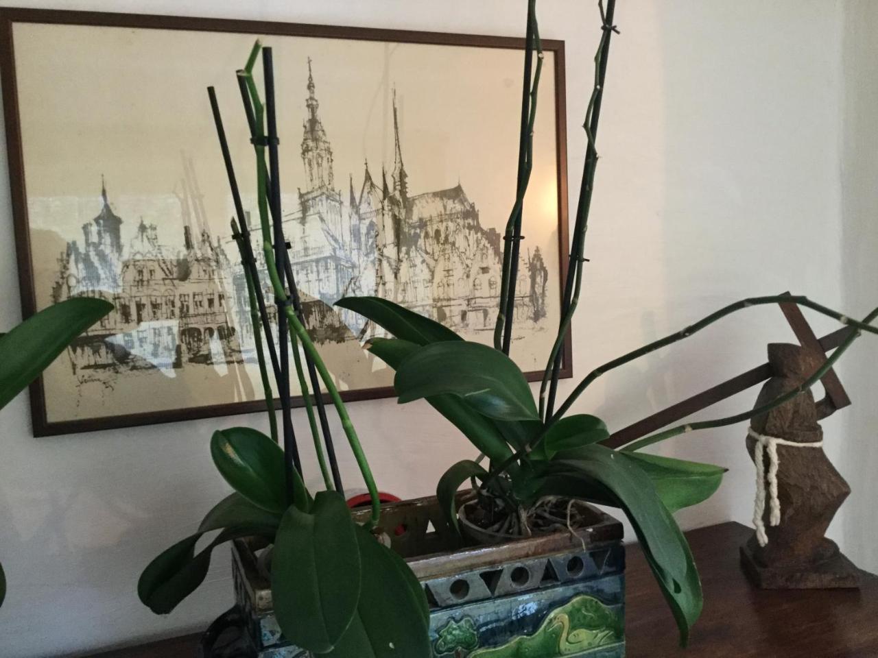 B&B Auberge De Klasse Veurne Exteriör bild